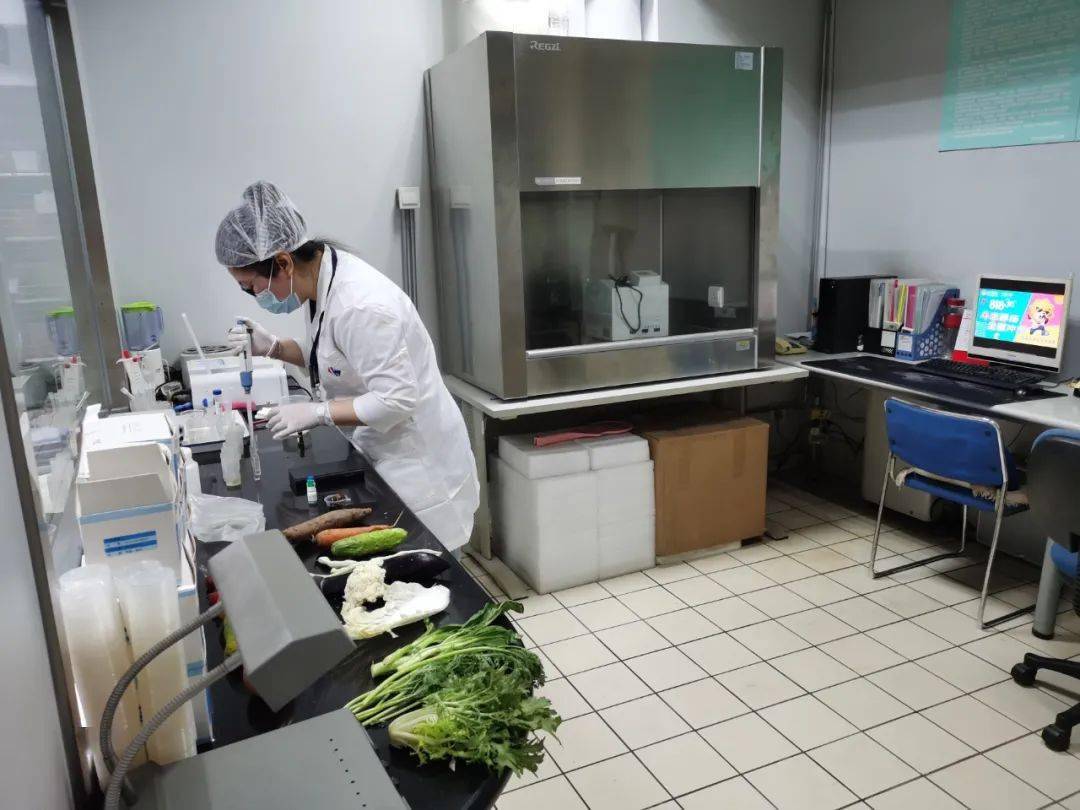 丰县食品检测实验室装修方案